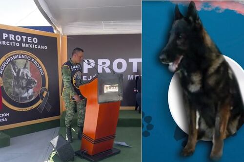 Proteo fue homenajeado como los grandes: fotos de su emotiva despedida tras llegar a casa