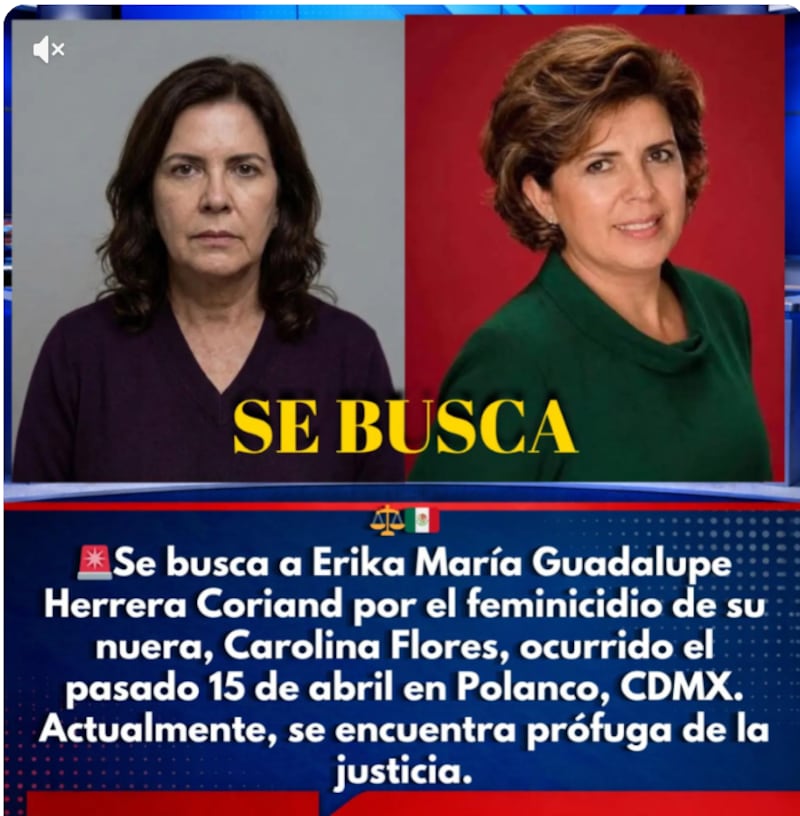 Retrato de Erika Guadalupe Herrera Coriant, buscada por el feminicidio de Carolina Flores