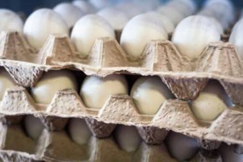 Comer un huevo al día no aporta un gran riesgo para la salud