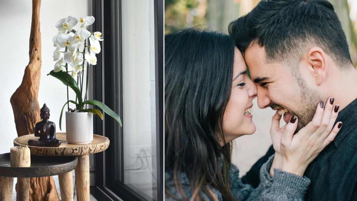 Las orquídeas son ideales para atraer el amor a nuestras vidas