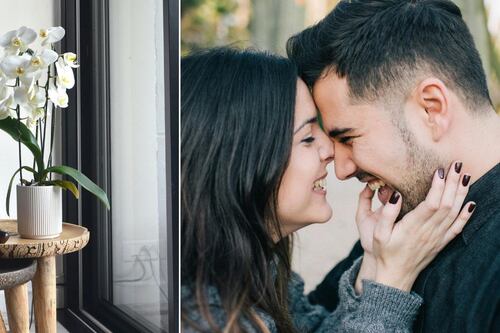 3 lugares donde puedes poner orquídeas para atraer el amor: tu habitación es uno