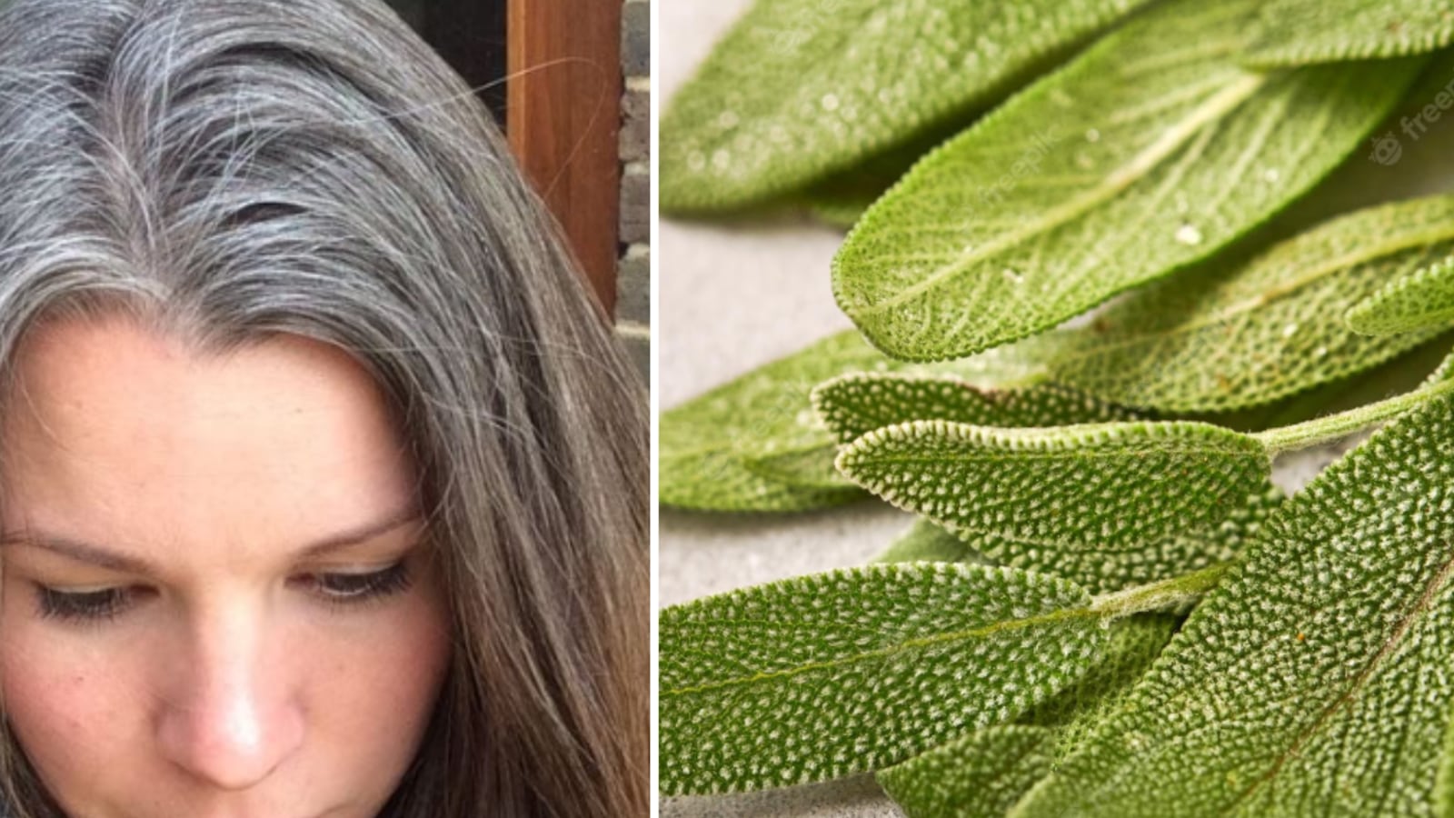 Salvia para tapar las canas