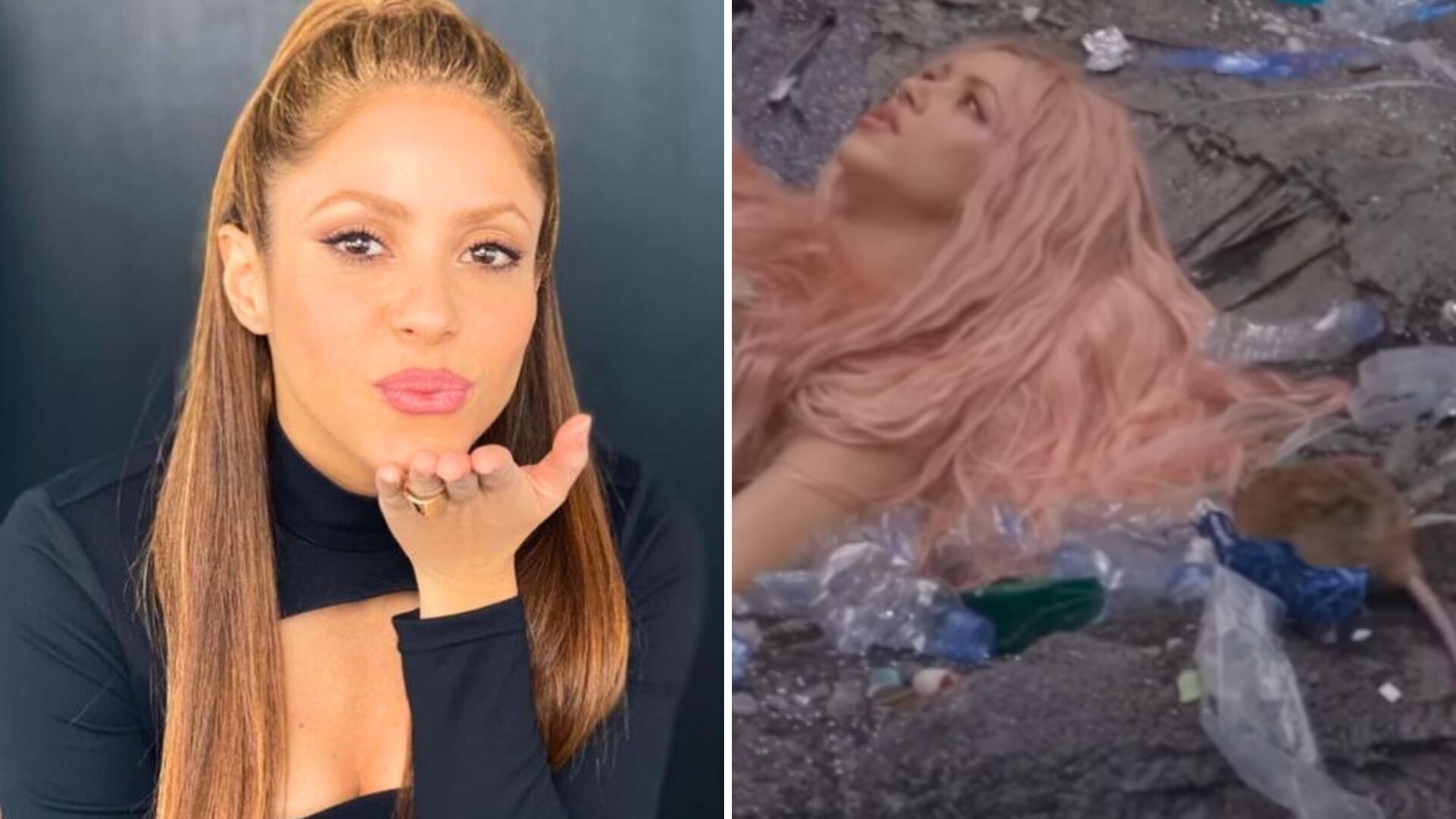 Shakira saca las ratas de su vida