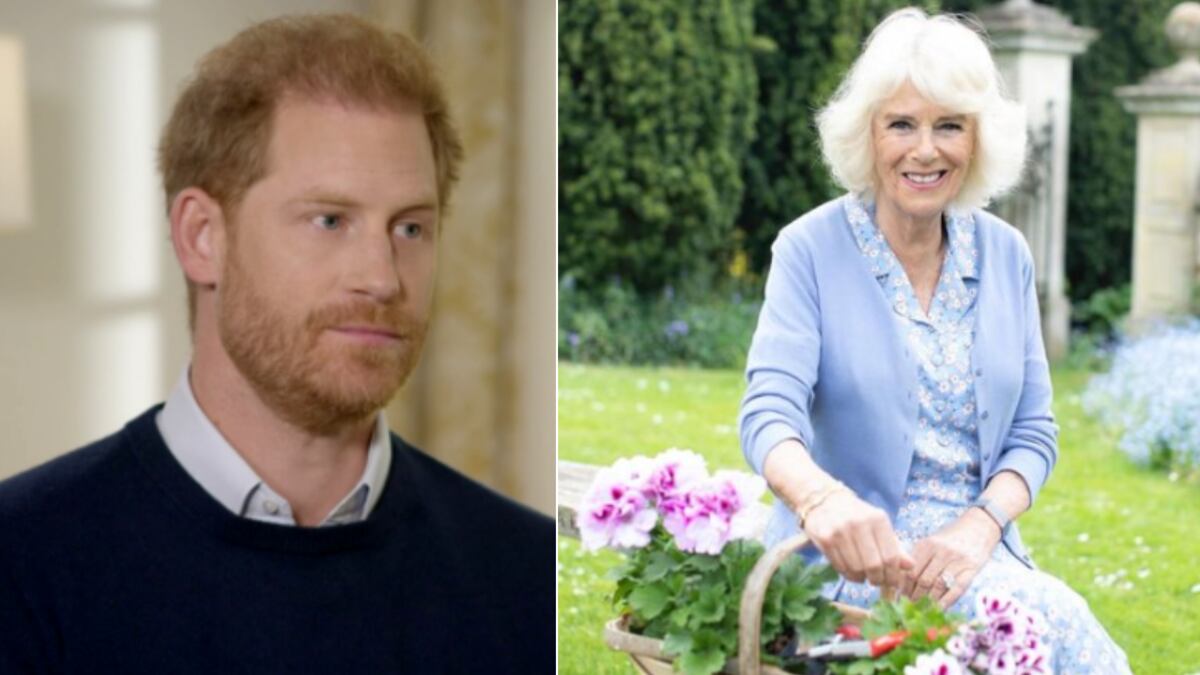 Harry no mantuvo una buena relación con la reina consorte.