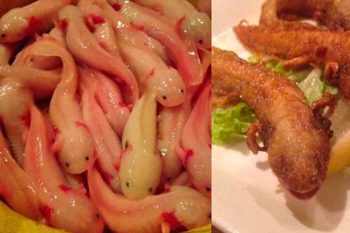 Restaurante ofrece ajolotes fritos como parte del menú