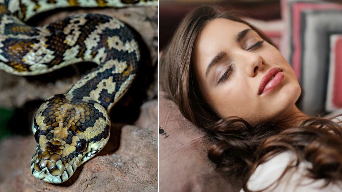 Significados de soñar con serpientes