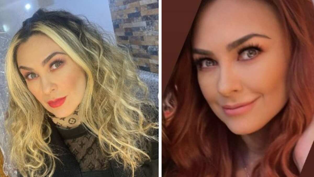 Aracely Arámbula es una de las actrices más importante del mundo de las telenovelas en México