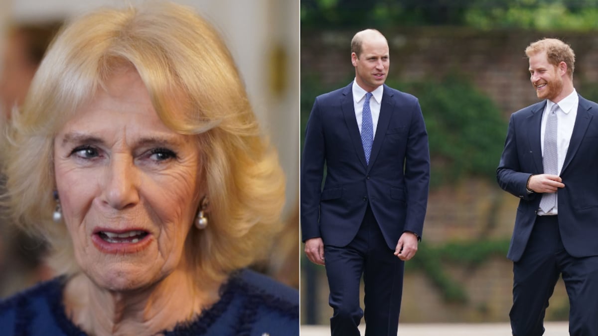 Camila Parker / Príncipe William / Príncipe Harry