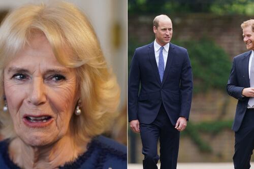 Ex empleados reales revelan el apodo que William y Harry le pusieron a Camila Parker tras convertirse en su madrastra