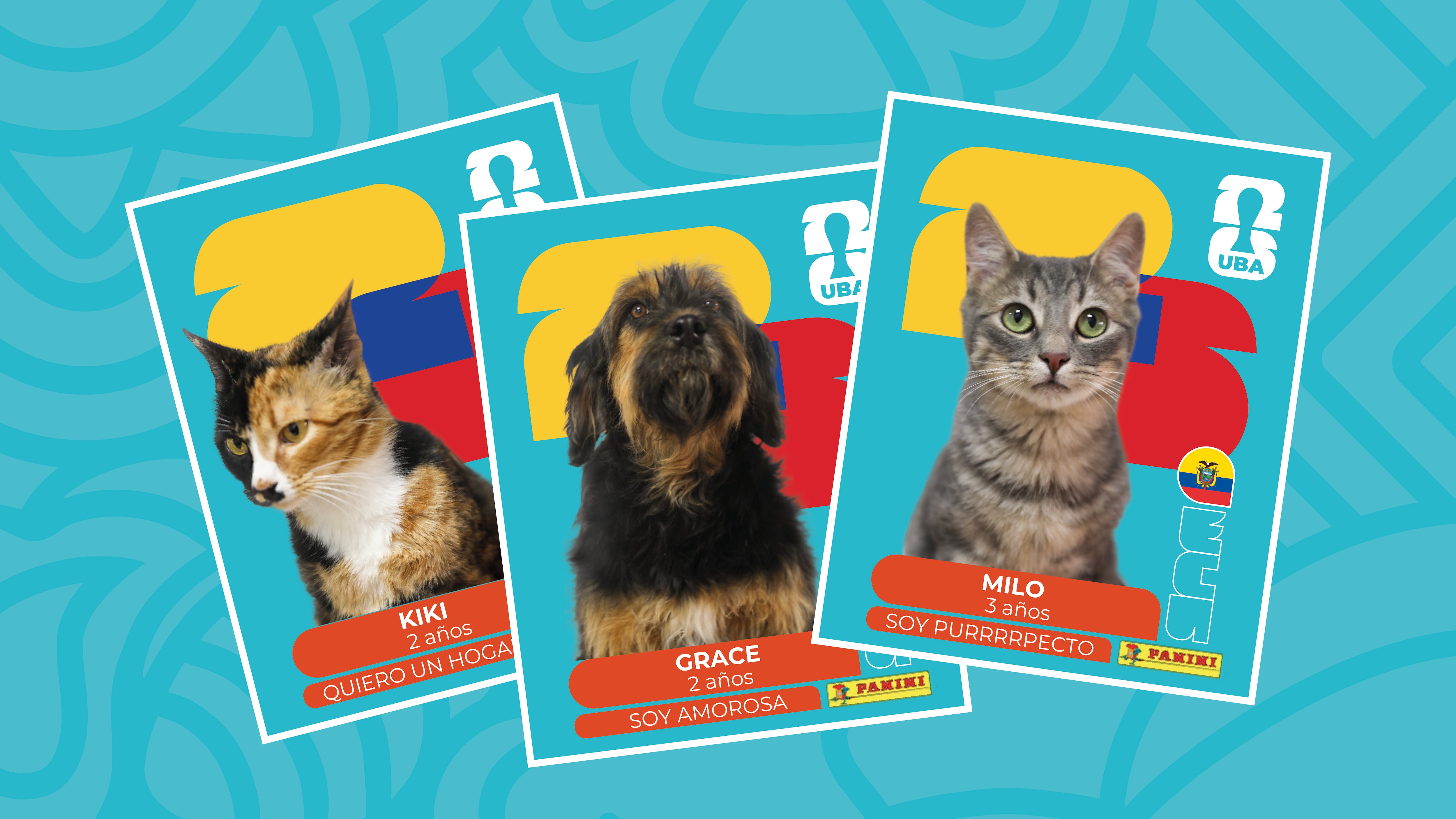 Los detalles sobre la campaña que convierte a perros y gatos rescatados en estrellas futboleras para encontrarles hogar