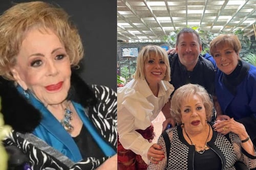 La millonaria herencia de Silvia Pinal: ¿Cuánto recibió cada uno de sus hijos?