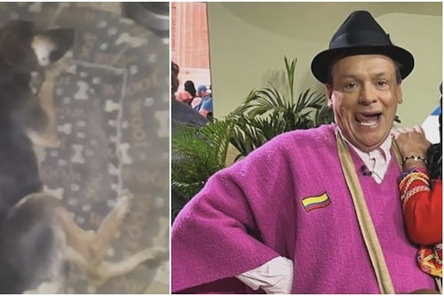 “Son seres vivos que también sienten”: Don Jediondo denunció que le están envenenando sus mascotas en Sutamarchán