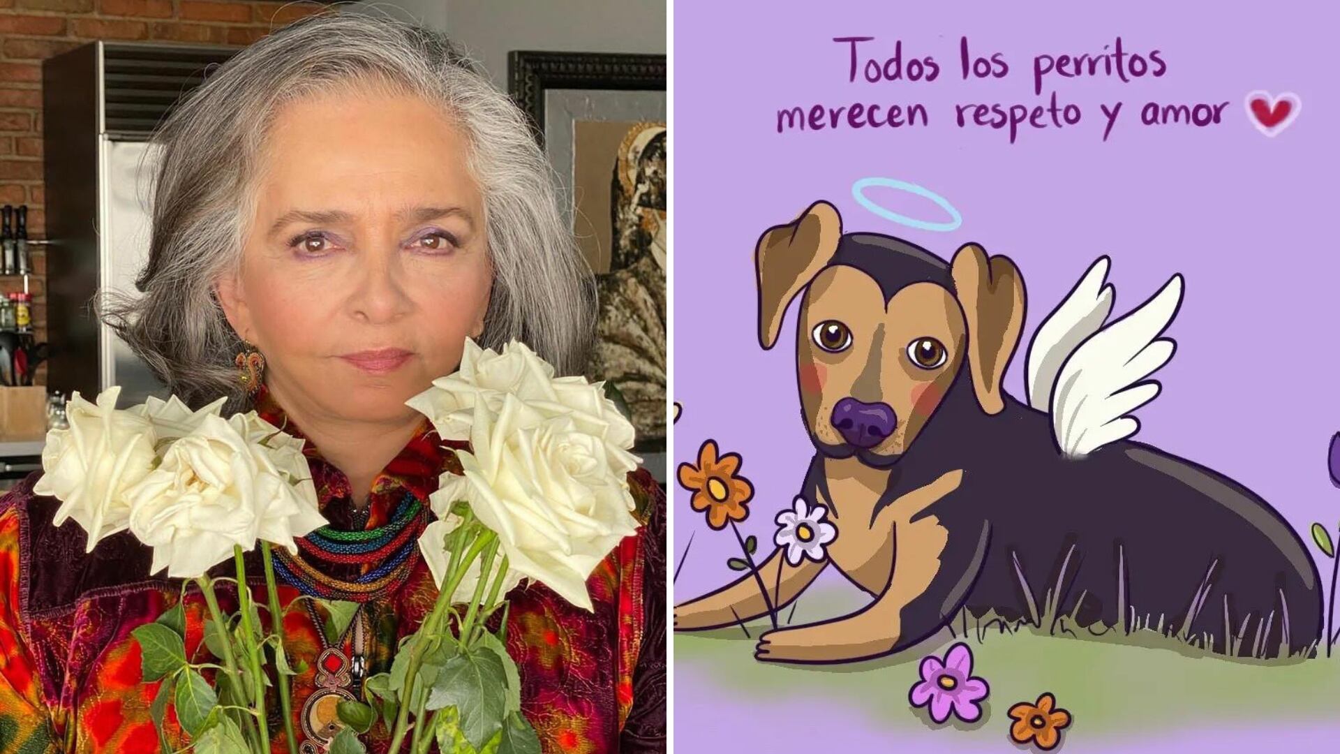 La actriz Ana Martín condenó el maltrato y exigió cárcel para Sergio N, como quedó identificado el presunto homicida.