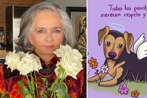 Ana Martín condenó muerte del perro Benito y fue atacada por defender al can