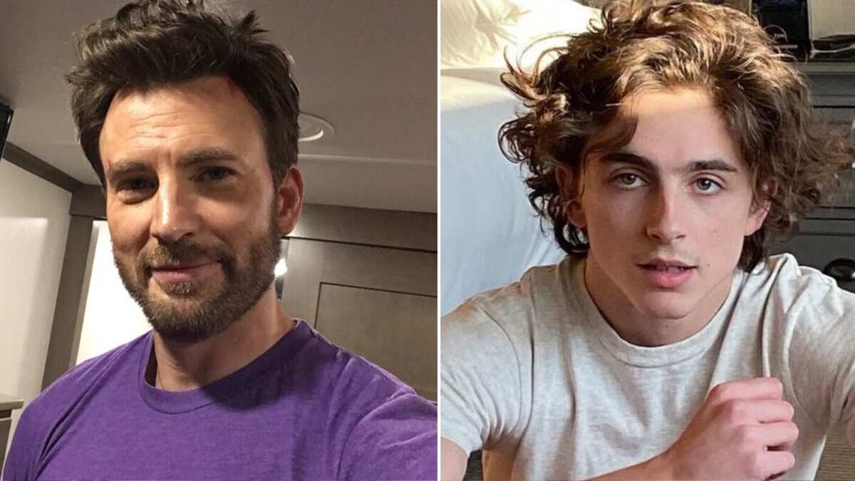 Chris Evans y Timothée Chalamet tienen hermanos que también son actores