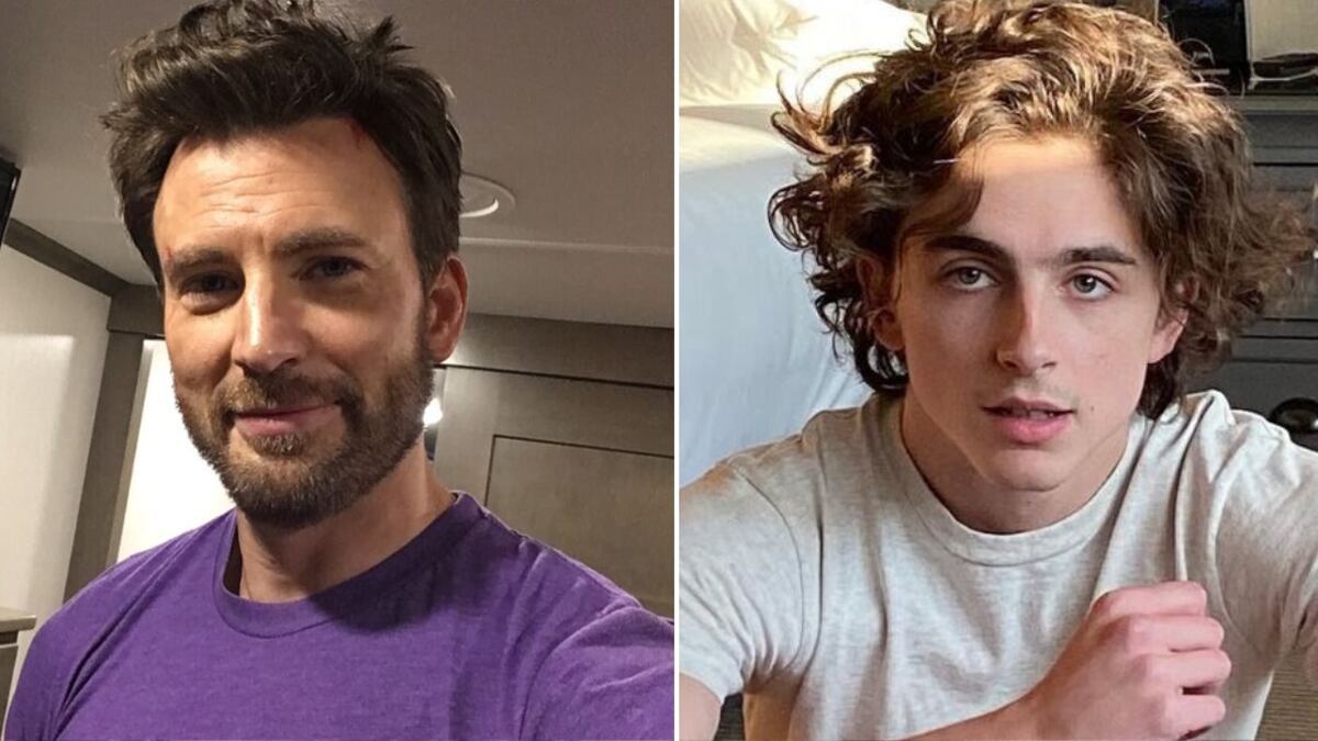 Chris Evans y Timothée Chalamet tienen hermanos que también son actores