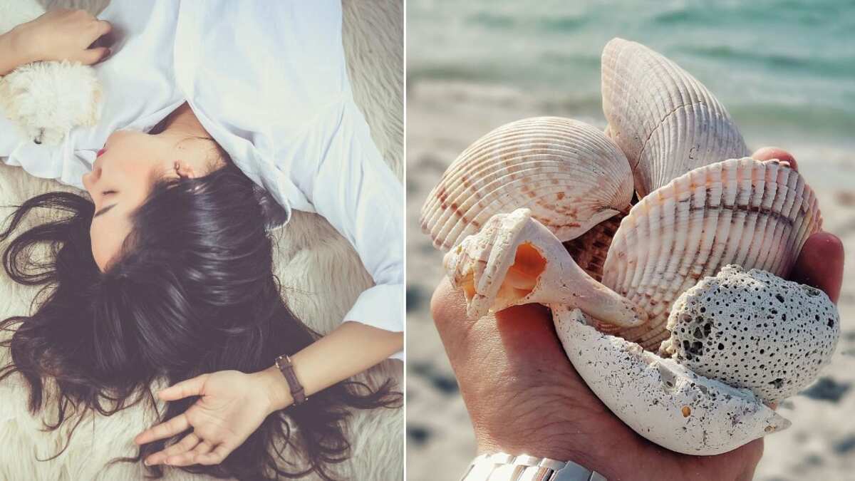 Soñar con caracolas de mar puede tener varias interpretaciones