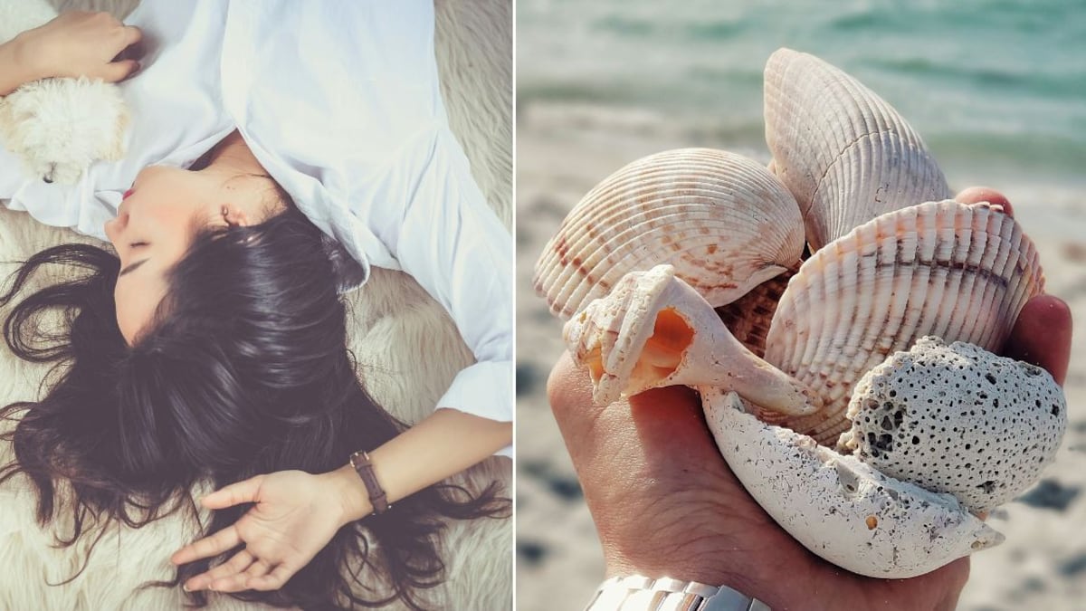 Soñar con caracolas de mar puede tener varias interpretaciones