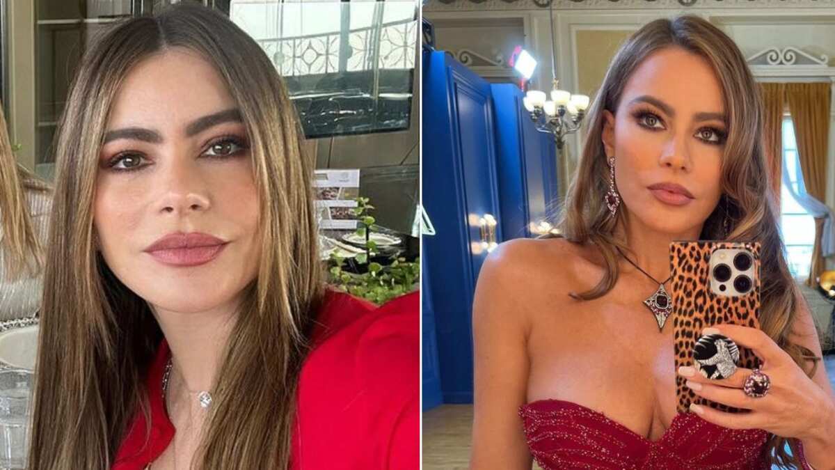 Sofía Vergara tiene más de 30 millones de seguidores en Instagram