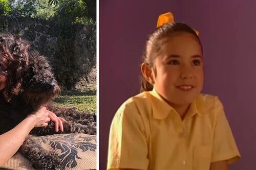 Protagonista de ‘El Diván de Valentina’ tiene su propia cervecería, ¿Ya lo viste?