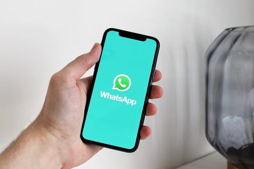 Existe un modo delfín en WhatsApp y así lo puedes activar