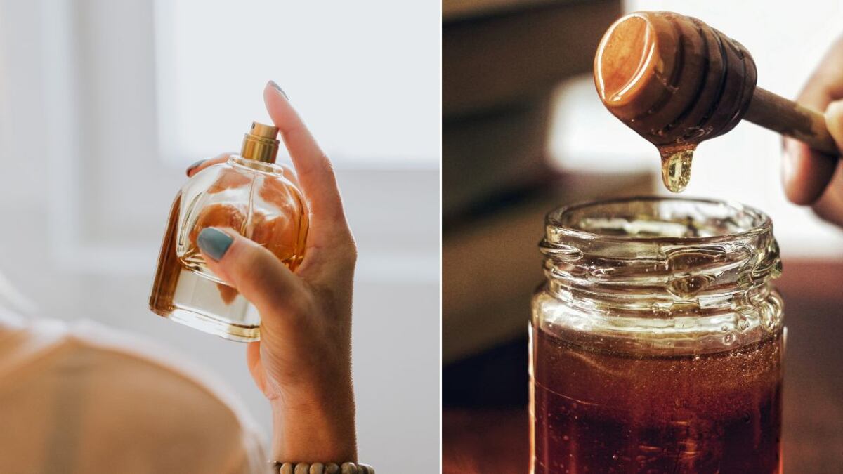 Los perfumes con olor a miel dejan una estela deliciosa