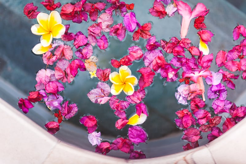 Rituales para la Luna Rosa