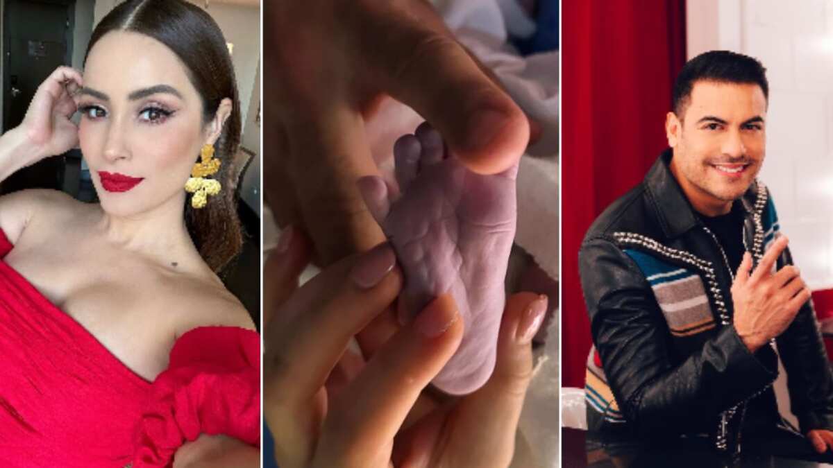 La imagen de Cynthia Rodríguez con León que causó revuelo en los fans ¿Por qué nunca sale Carlos Rivera en las fotos?