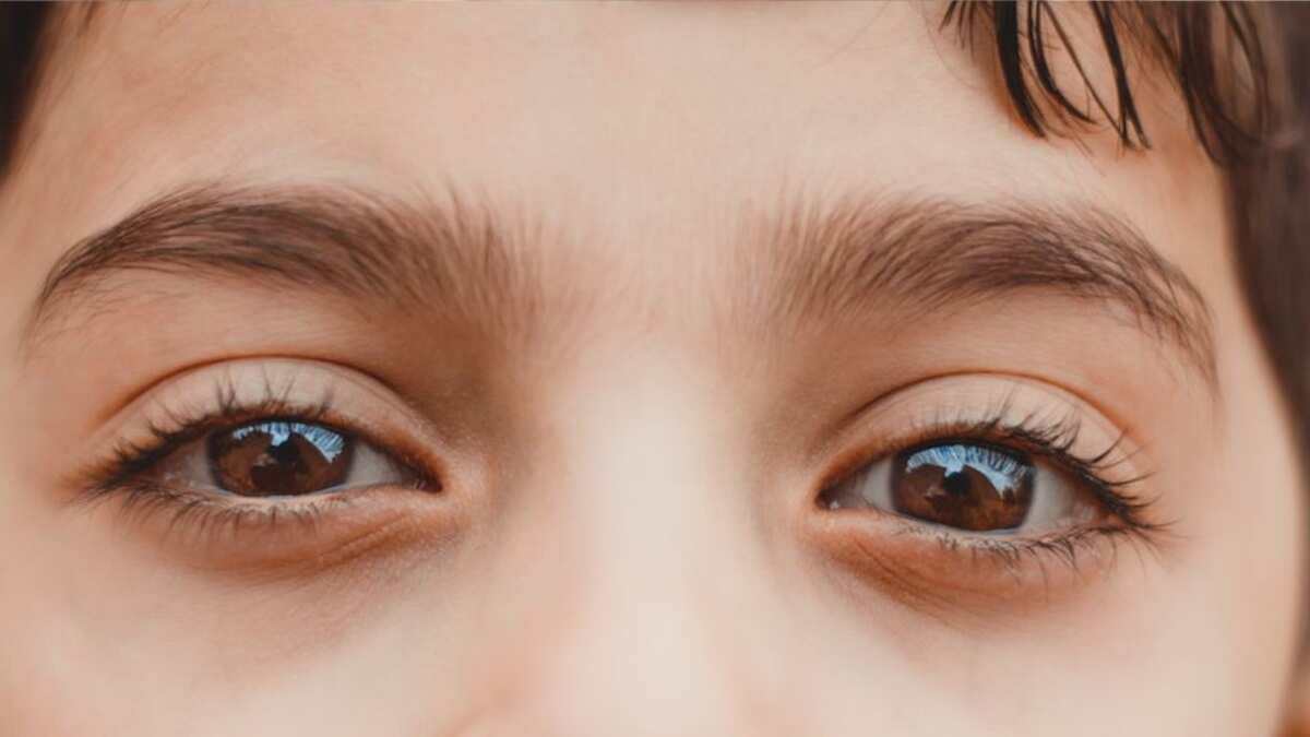 Implantes de córneas fabricadas con colágeno de piel porcina devuelven la vista a 20 personas