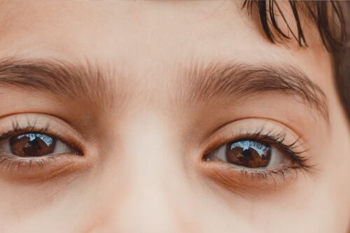 Implantes de córneas fabricadas con colágeno de piel porcina devuelven la vista a 20 personas