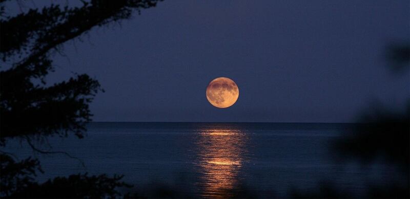 ¡La Luna Rosa se acerca!
Este 13 de abril, alzá la vista y disfrutá de uno de los espectáculos más bellos del cielo. No es rosa de verdad, ¡pero sí mágica!