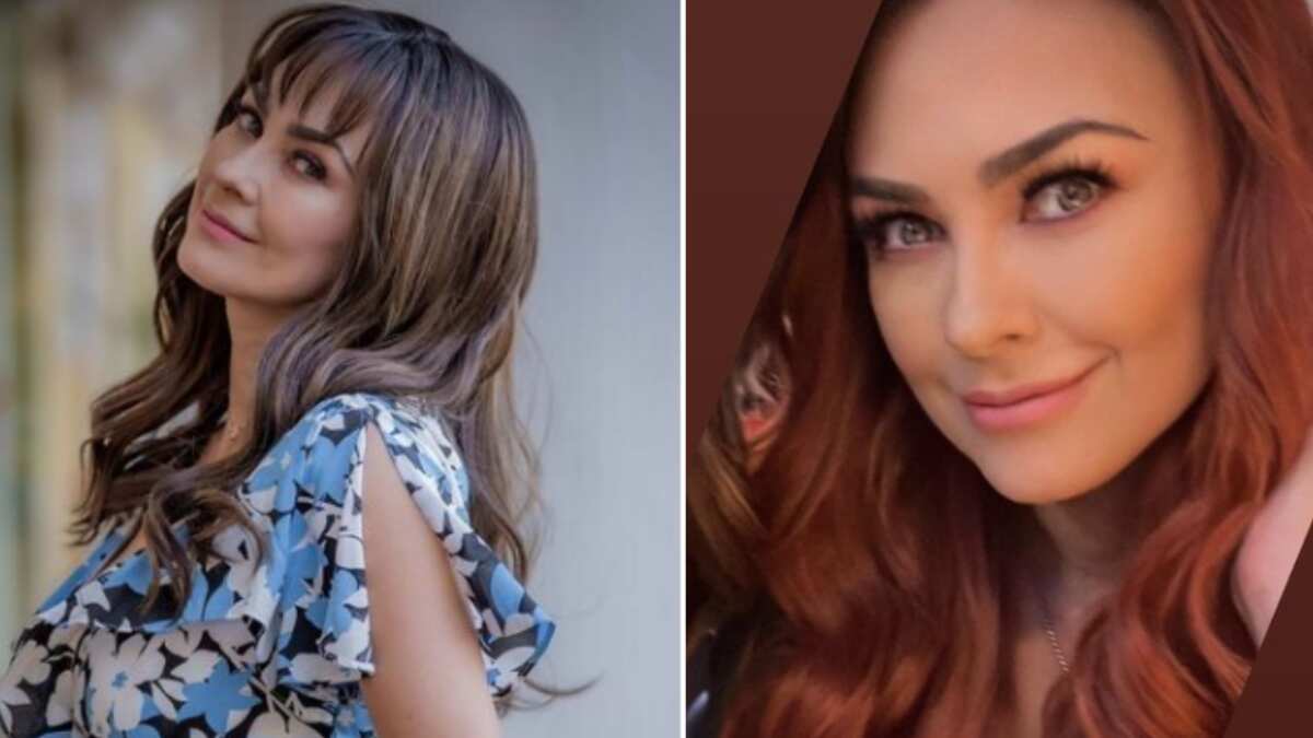 Aracely Arámbula es de las actrices más queridas.