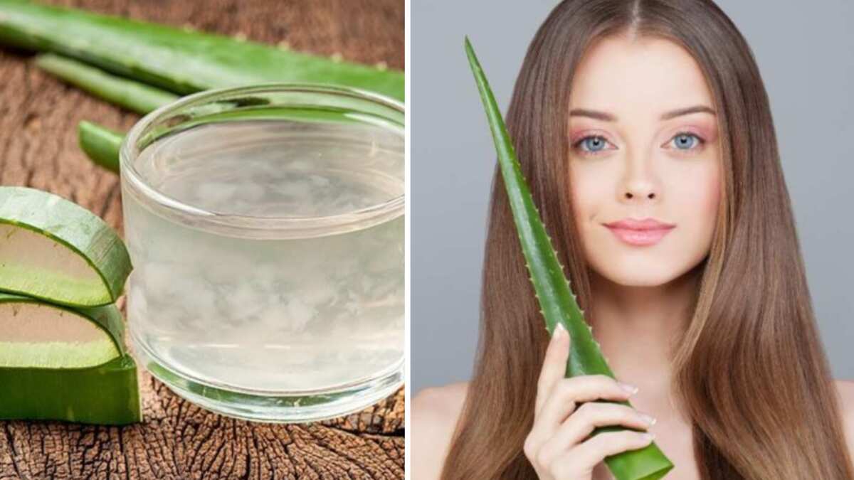 Mascarilla de sábila para el cabello