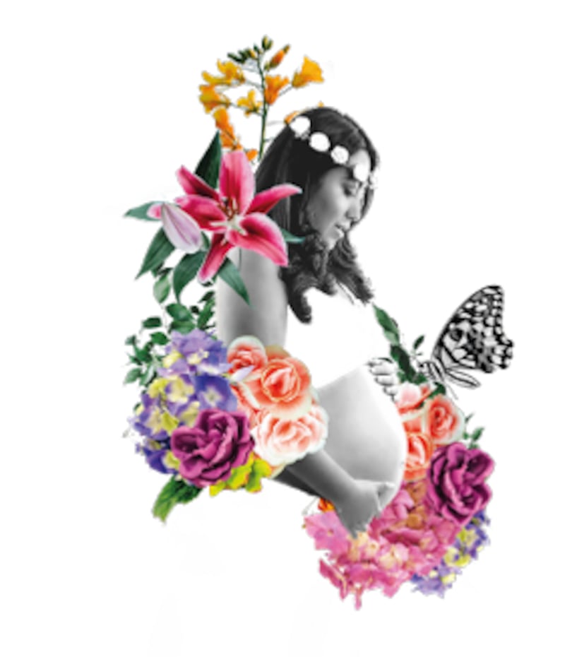 Ilustración del libro "Sister"