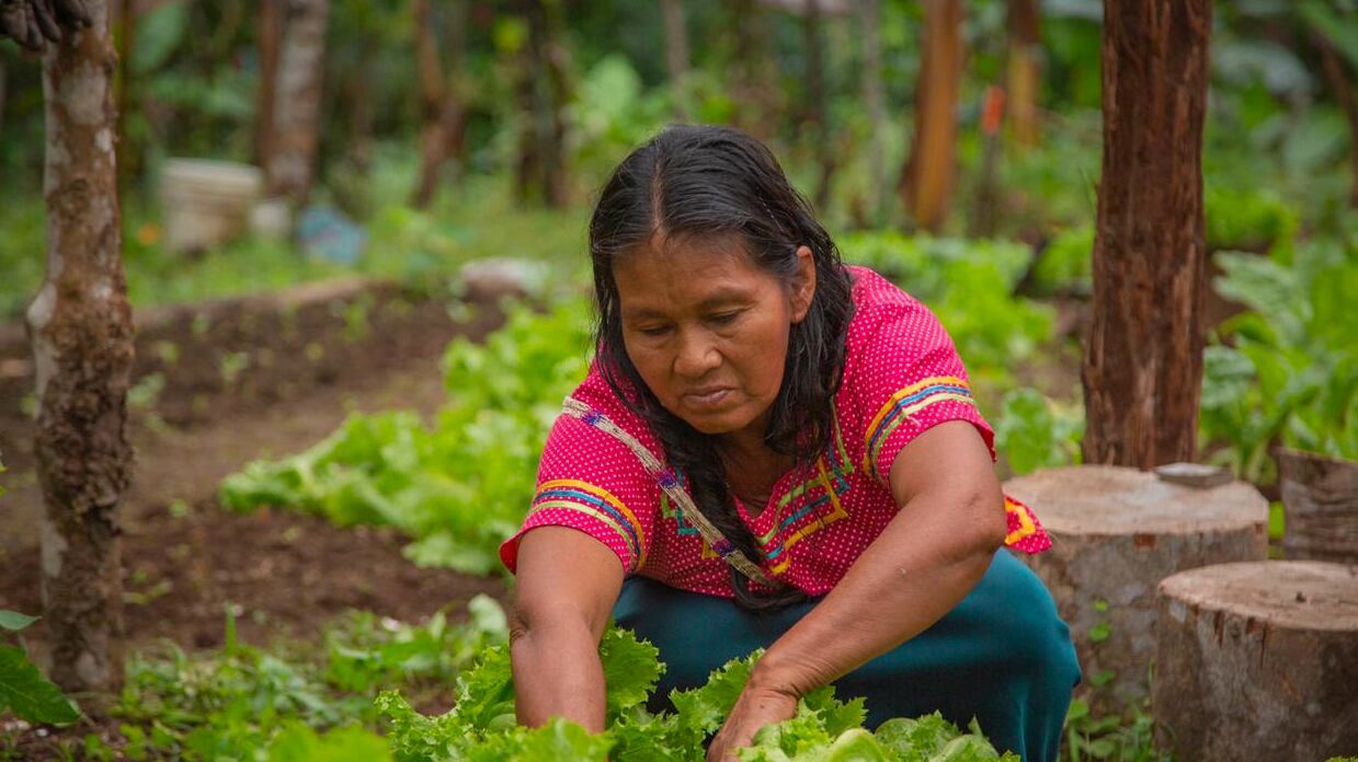 La Asamblea Nacional avanza en el proyecto de Ley para Garantizar los Derechos y Promover el Empoderamiento de las Mujeres Rurales.