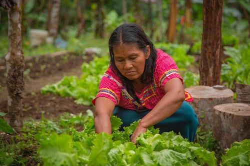 Una ley que florece desde el campo: el empoderamiento real de las mujeres rurales