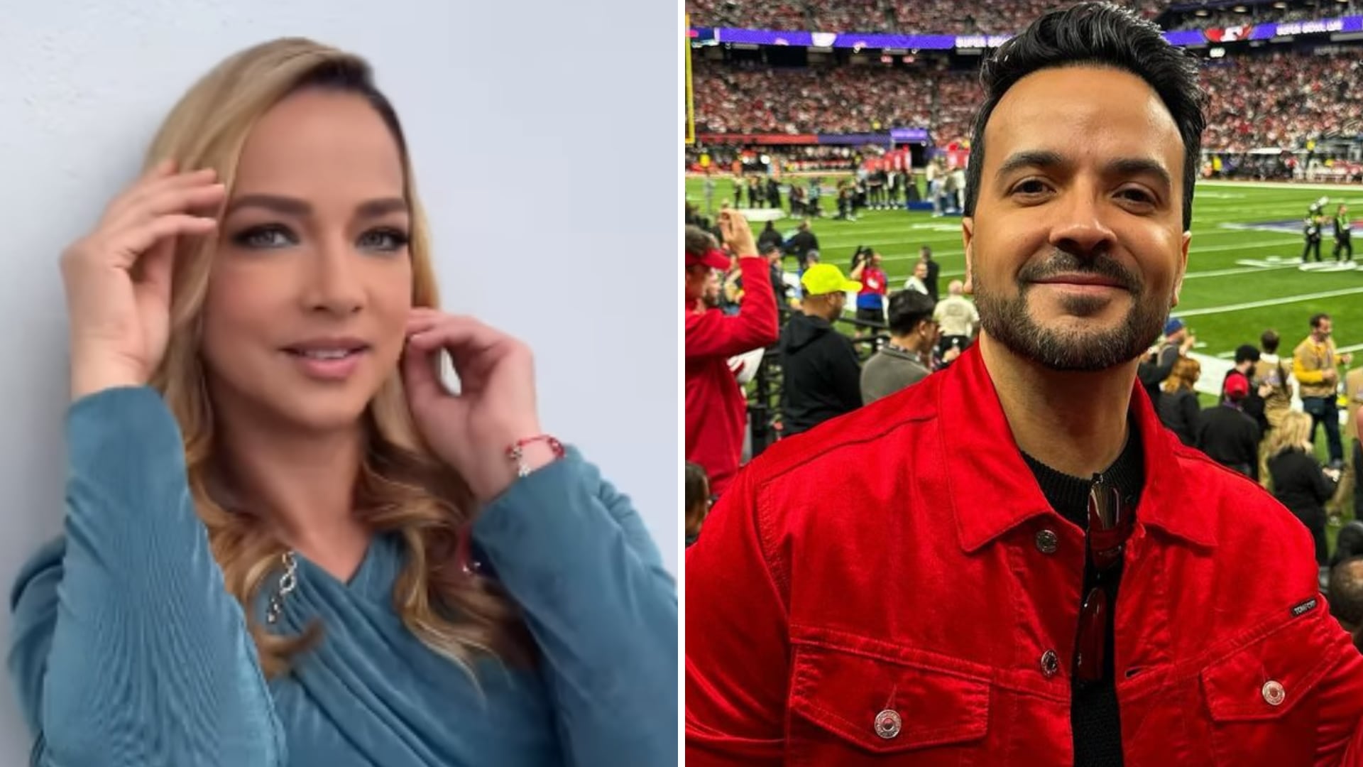 Adamari López y Luis Fonsi fertilizaron óvulos para formar una familia tras el cáncer de la actriz, pero se divorciaron.