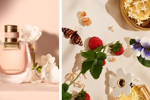 5 perfumes de clase alta más económicos para oler como millonaria sin gastar demasiado