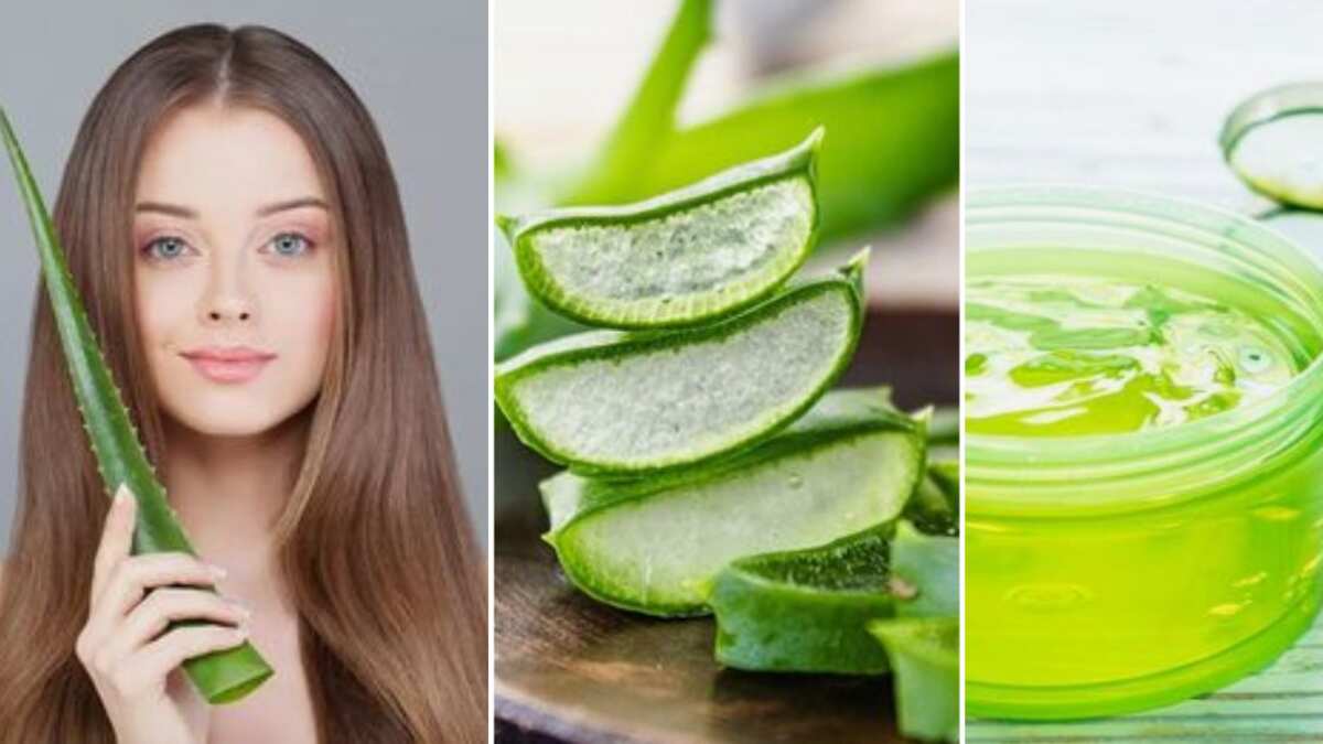 Cómo utilizar la sábila para reafirmar la piel y reducir arrugas