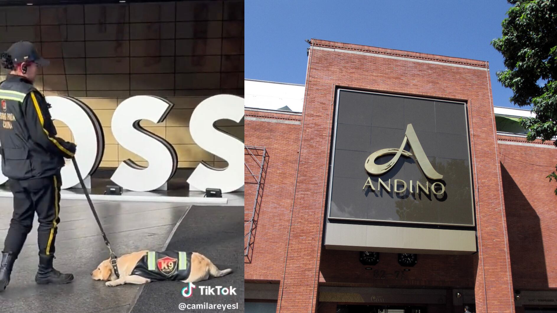 los vigilantes del Centro Comercial Andino siguen maltratando a los perritos de seguridad