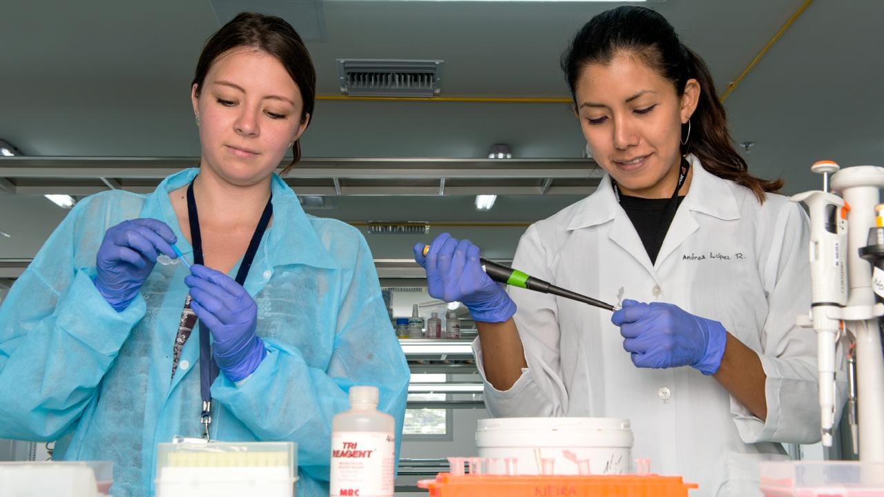 Investigadoras de la PUCE. La PUCE lidera la ciencia con equidad y excelencia.