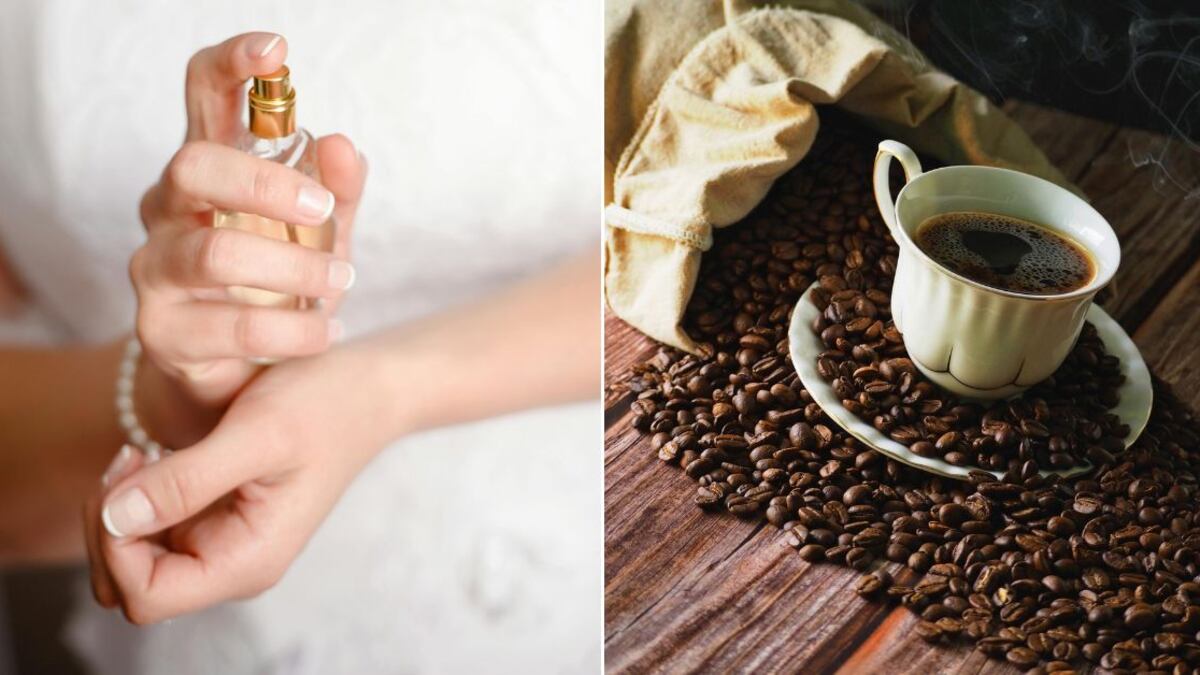 Los perfumes con olor a café son aromáticos, complejos y seductores