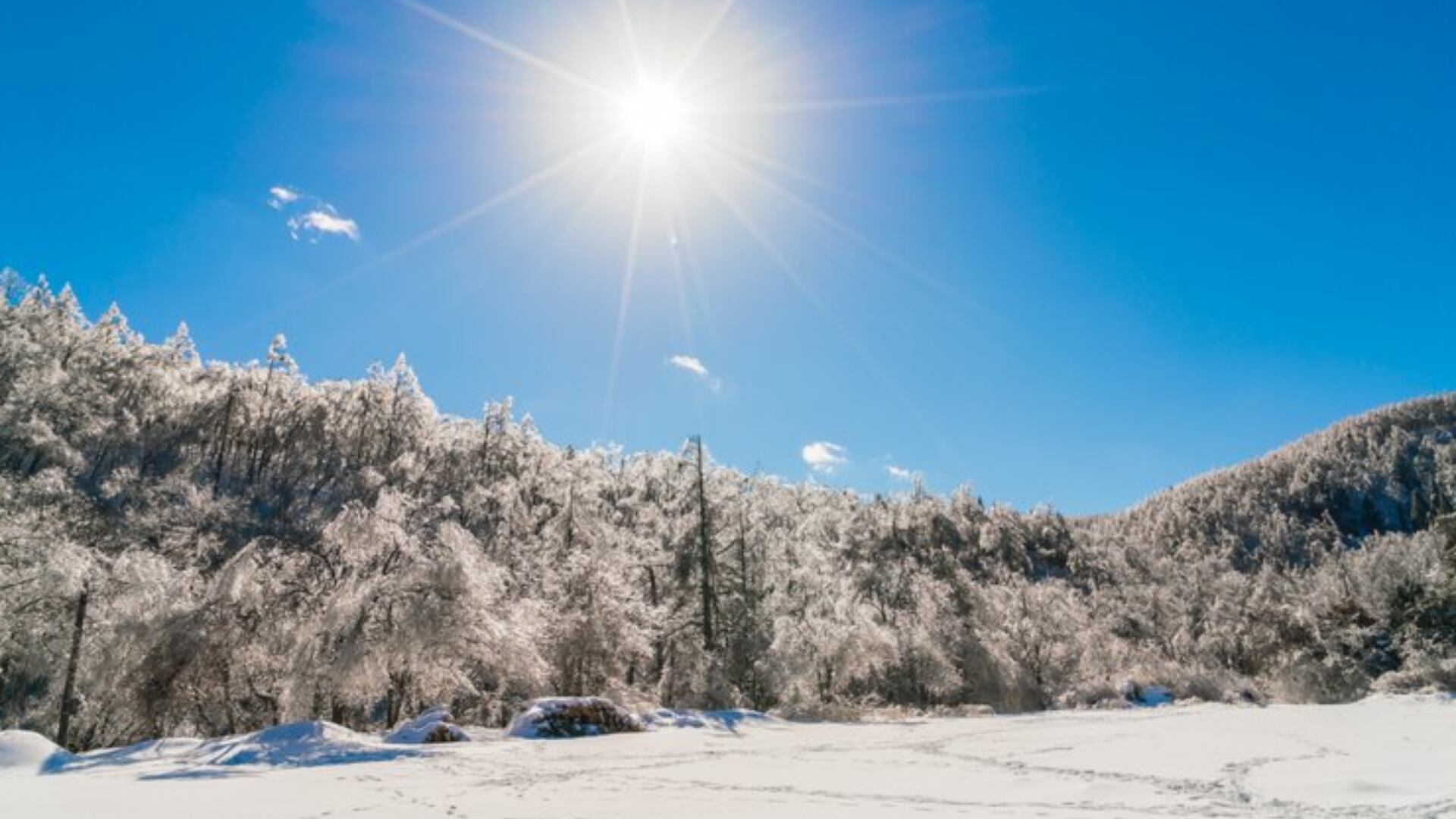 Un golpe de prosperidad recibirán algunos signos del zodiaco con la oposición de Júpiter y el Sol.