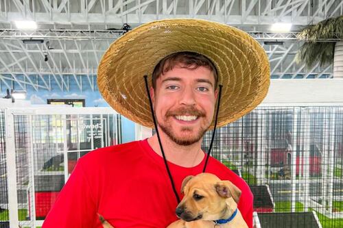 MrBeast rescata 100 perritos y le encuentra casa a cada uno de ellos