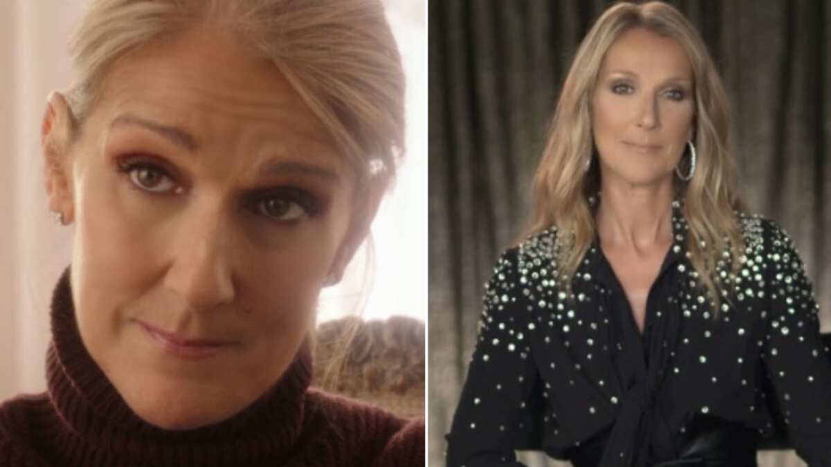 Céline Dion reaparece