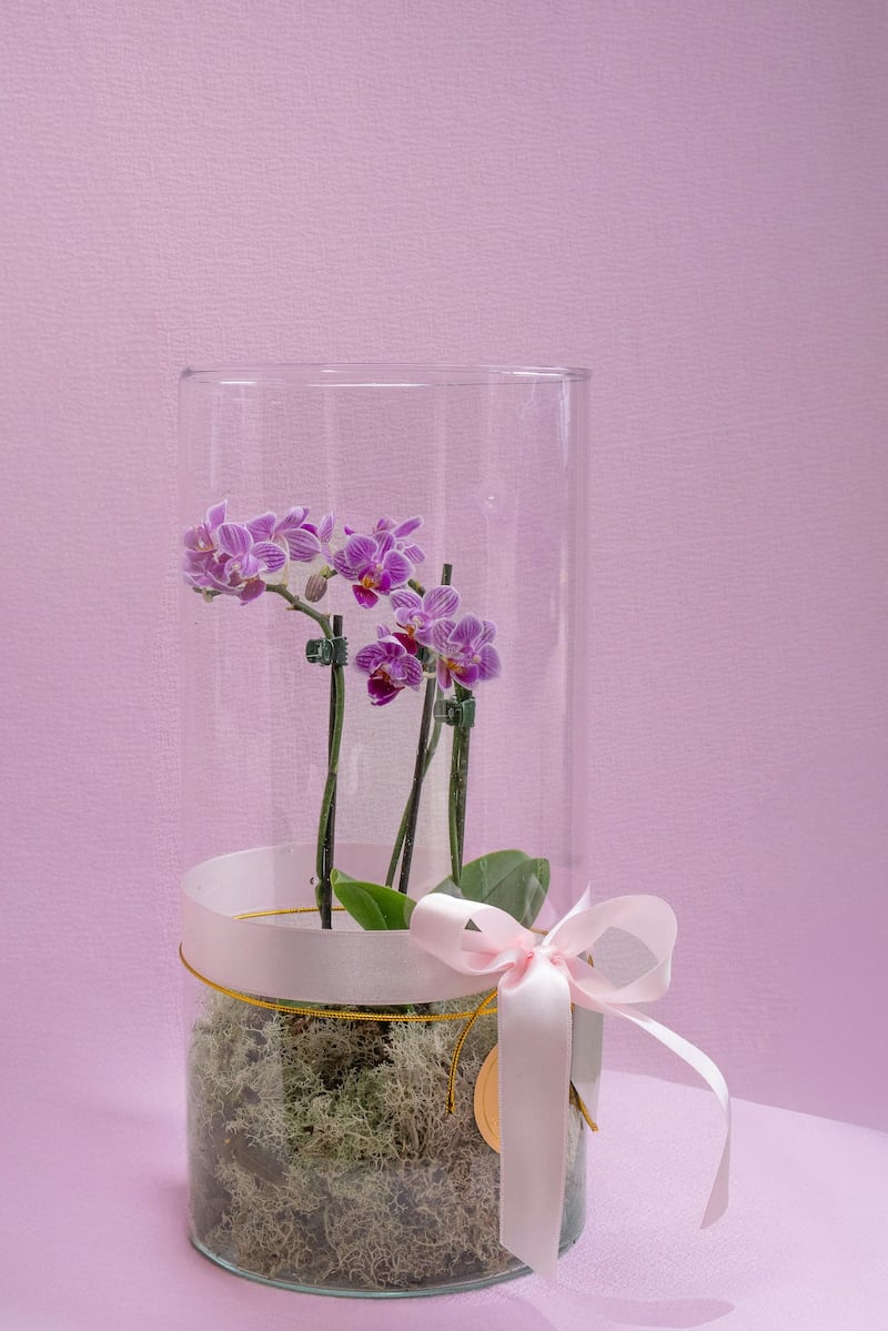 ¡Adiós rosas! La flor para regalar a mamá el 10 de mayo y tiene un profundo significado