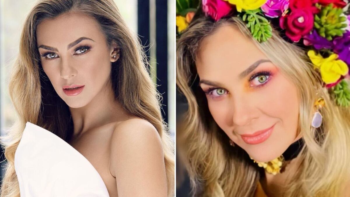 A pesar de sus muchos amores, Aracely Arámbula nunca se ha casado