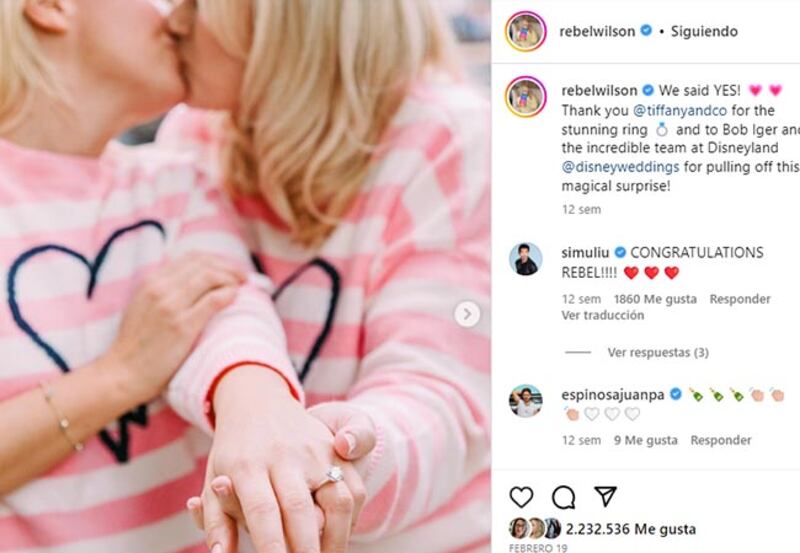Rebel Wilson novia