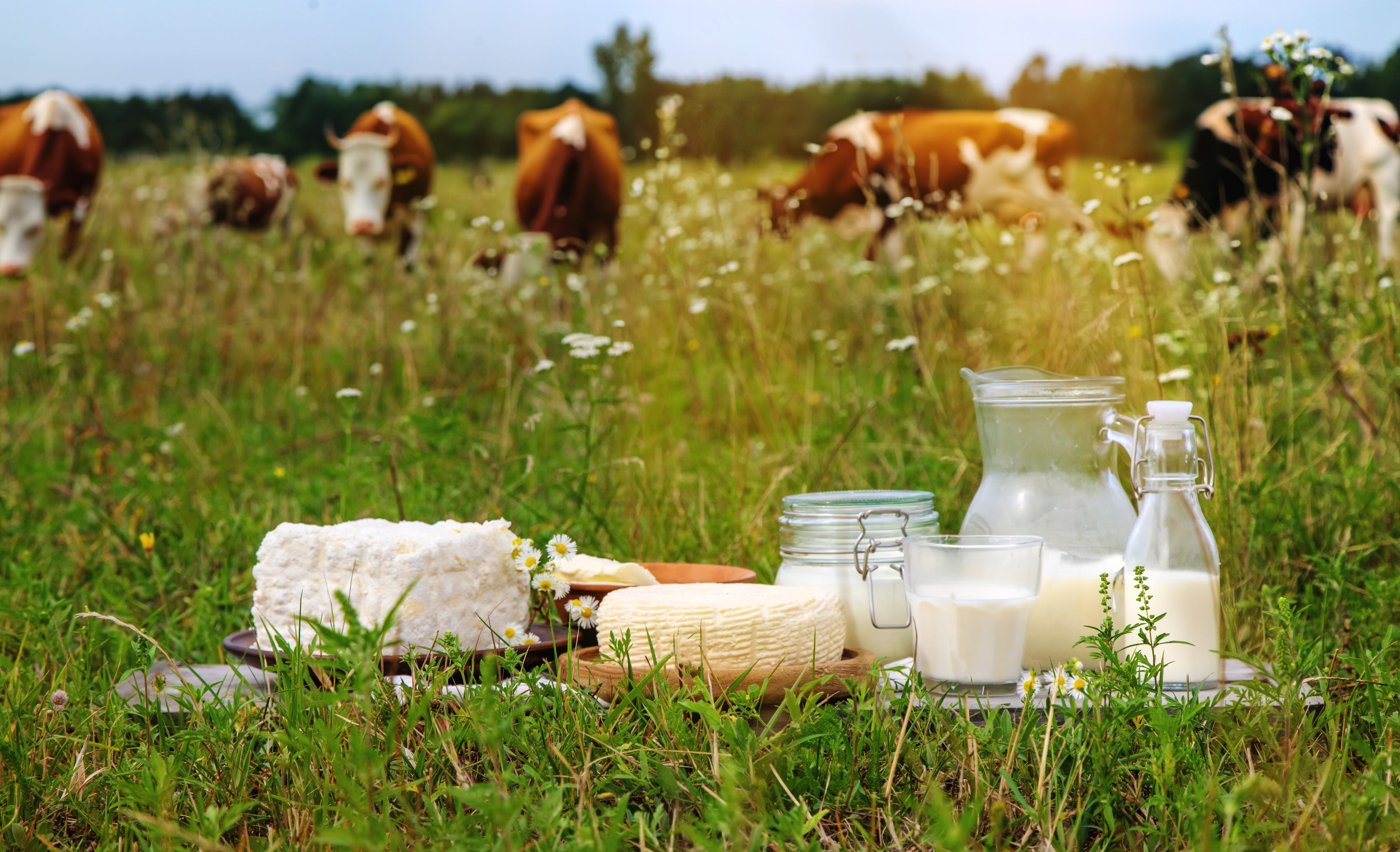 ¡Te van a volar la mente! 5 datos random sobre la leche que seguro no sabías en su Día Mundial
