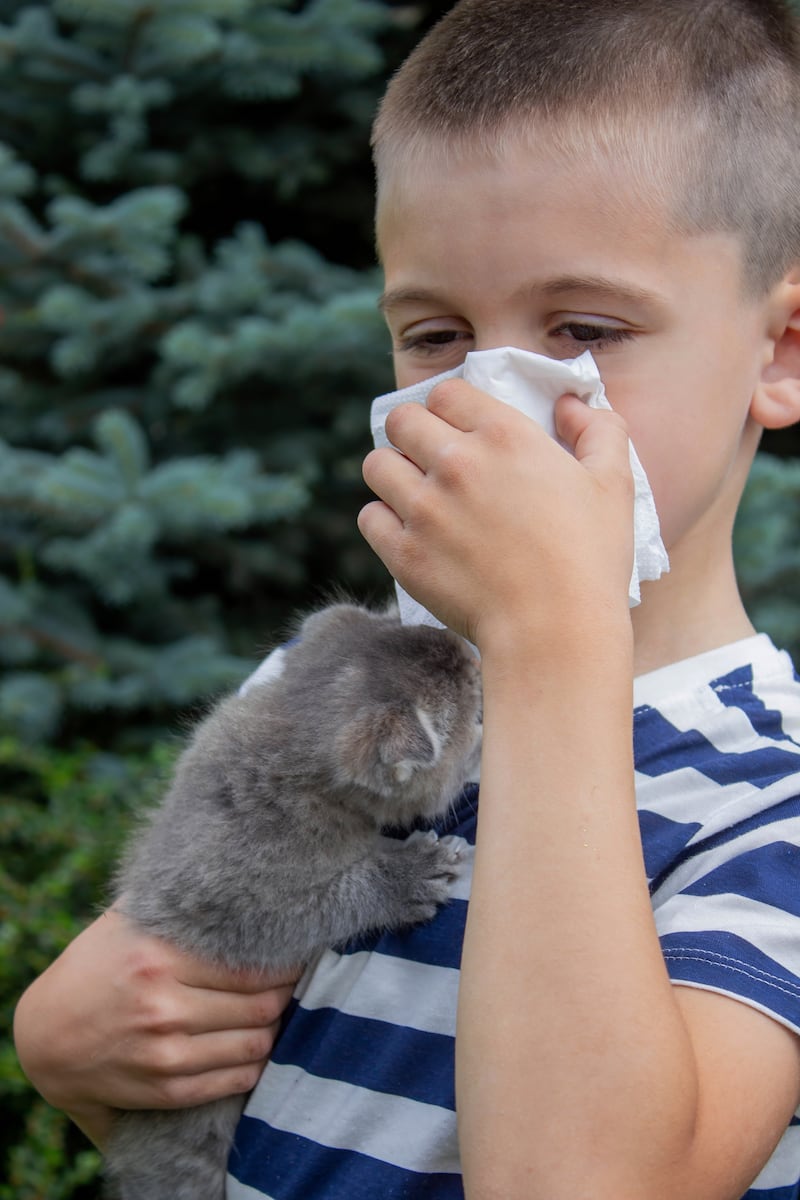 Niño con alergia